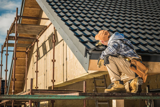 Best Skylight Installation and Repair  in Mountain View, AR